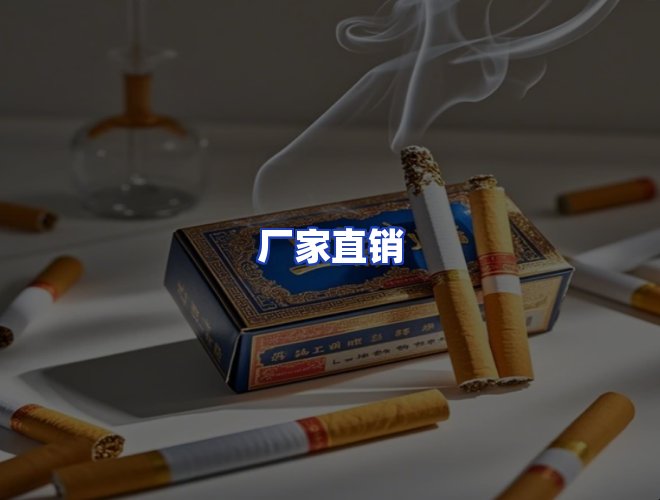 专业团队
